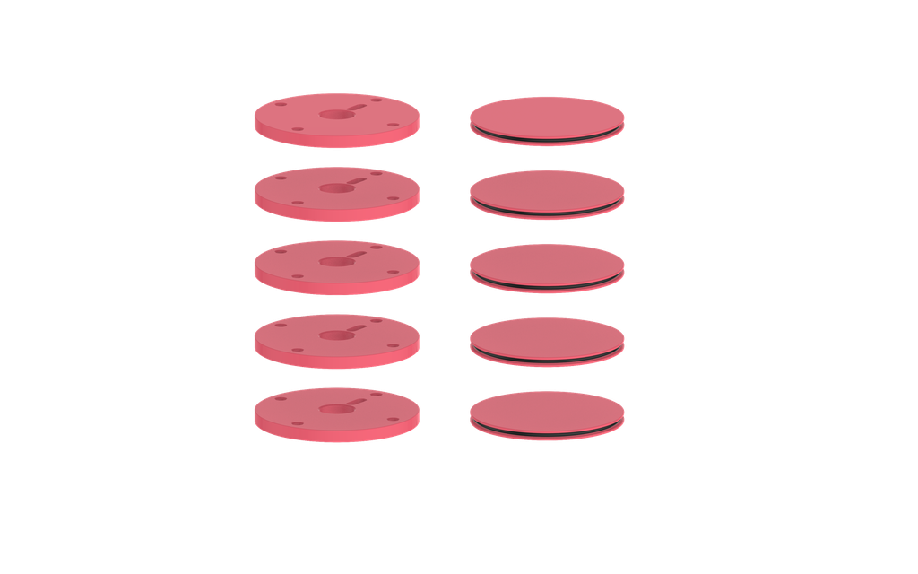 Fresh Raspberry