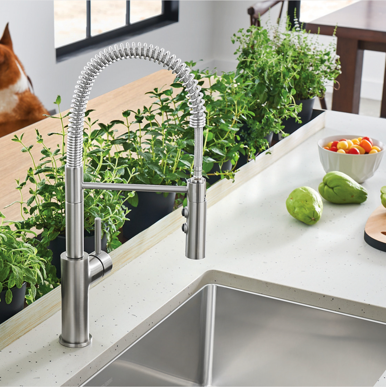 Blanco Catris Semi-Pro Pull-Down Faucet Dual Spray 1.5 GPM