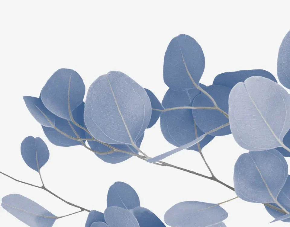 Shaws Shaker 30 Inch White Single Bowl Farmhouse Apron Front Fireclay Kitchen Sink With Eucalyptus Design - Blue/Silver