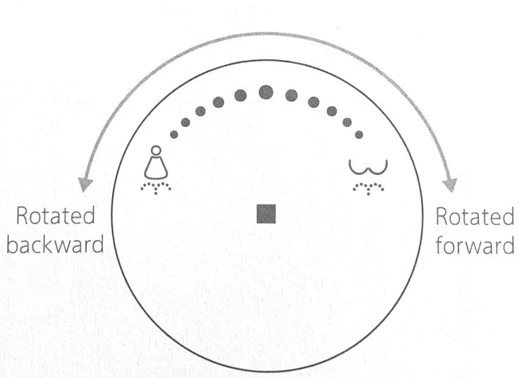 Kodaen Canary Integrated Smart Toilet