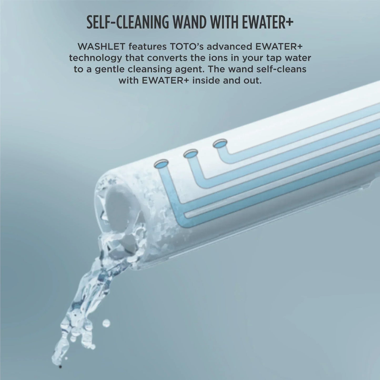 TOTO Carolina II Washlet+ C5 One-Piece Toilet, 1.28 GPF, Universal Height