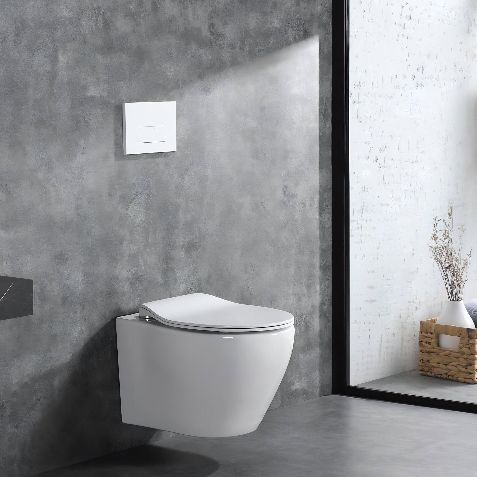 ALPS Wall-Mounted Toilet - Eunoia 