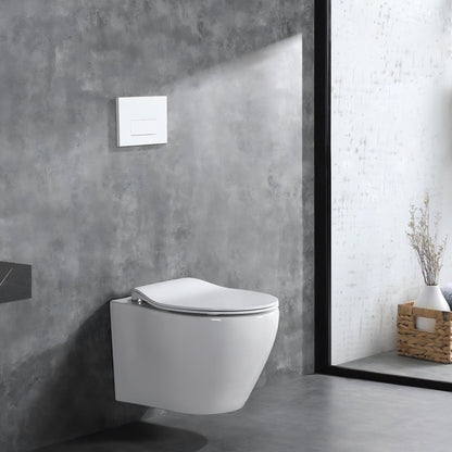 ALPS Wall-Mounted Toilet - Eunoia 