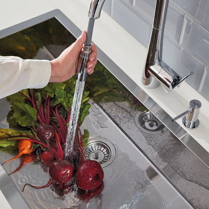Grohe Zedra Single-Handle Pull Down Kitchen Faucet Dual Spray 6.6 L/Min (1.75 GPM)