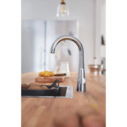 Grohe Single-Handle Beverage Faucet (Cold Water Only) with Filtration 6.6 L/min (1.75 gpm) - 30026