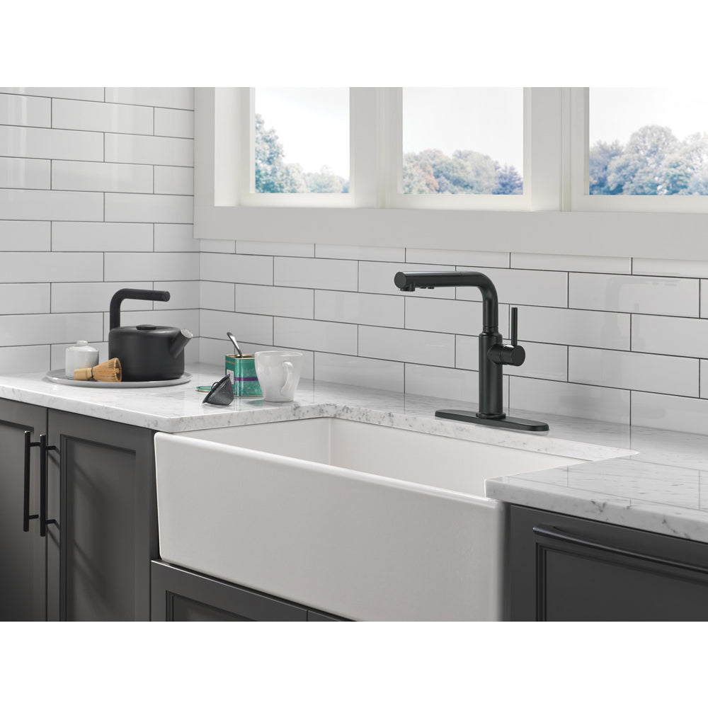 Delta Daneri Single Handle Pull-Out Kitchen Faucet - 16879