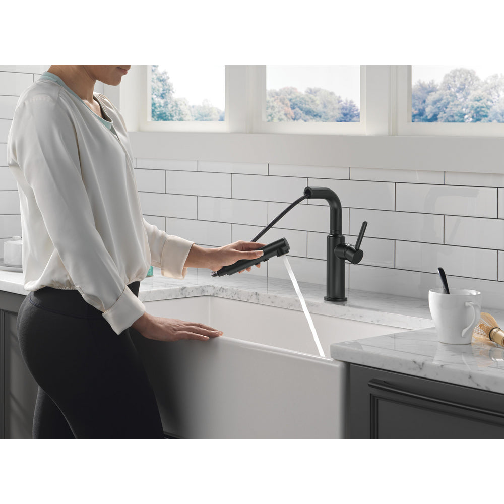 Delta Daneri Single Handle Pull-Out Kitchen Faucet - 16879
