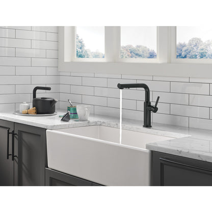 Delta Daneri Single Handle Pull-Out Kitchen Faucet - 16879