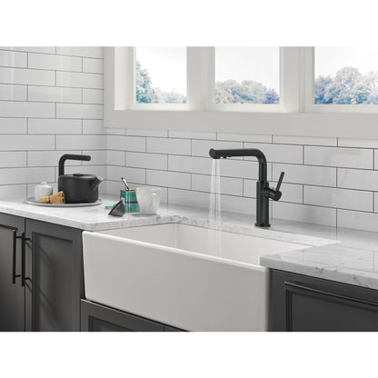 Delta Daneri Single Handle Pull-Out Kitchen Faucet - 16879