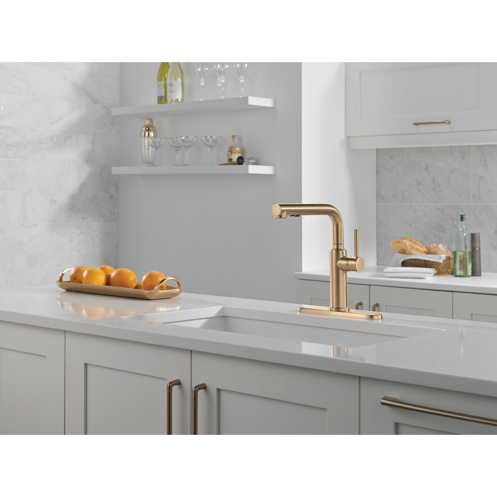 Delta Daneri Single Handle Pull-Out Kitchen Faucet - 16879