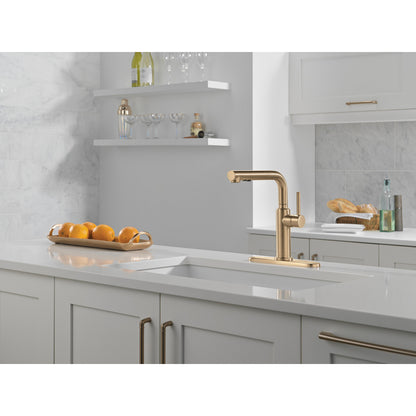 Delta Daneri Single Handle Pull-Out Kitchen Faucet - 16879