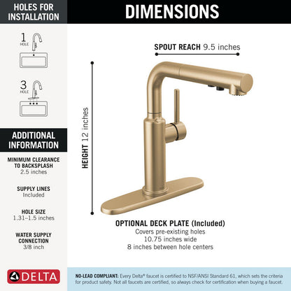 Delta Daneri Single Handle Pull-Out Kitchen Faucet - 16879
