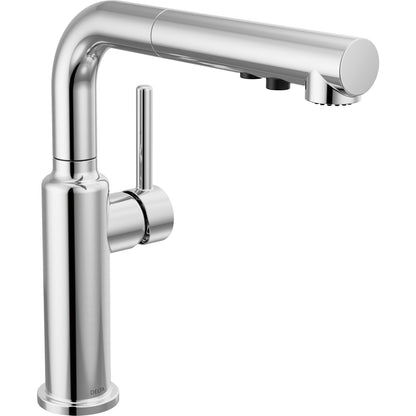 Delta Daneri Single Handle Pull-Out Kitchen Faucet - 16879