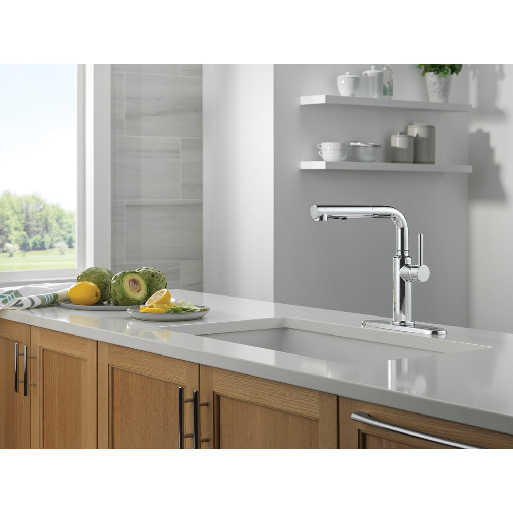 Delta Daneri Single Handle Pull-Out Kitchen Faucet - 16879