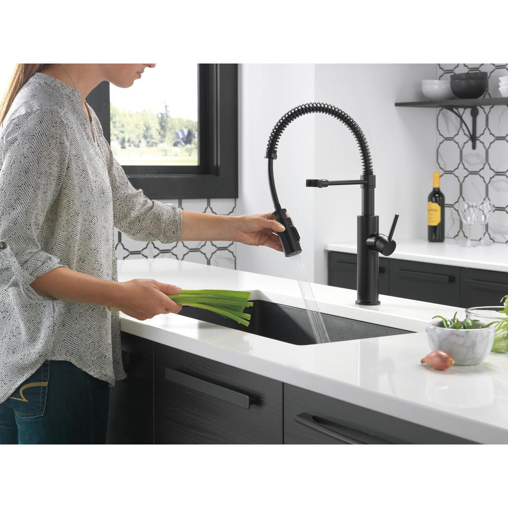 Delta Antoni Single-Handle Pull-Down Spring Kitchen Faucet - 18803