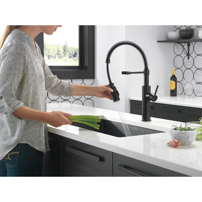 Delta Antoni Single-Handle Pull-Down Spring Kitchen Faucet - 18803