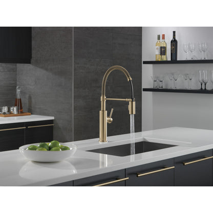 Delta Antoni Single-Handle Pull-Down Spring Kitchen Faucet - 18803