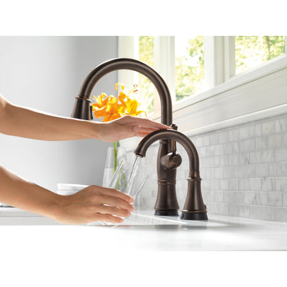 Delta Cassidy Single Handle Pull-Down Kitchen Faucet with Touch2O and ShieldSpray Technologies - 9197T