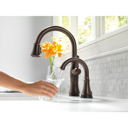 Delta Cassidy Single Handle Pull-Down Kitchen Faucet with Touch2O and ShieldSpray Technologies - 9197T