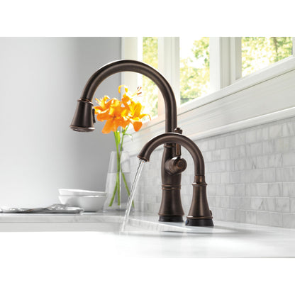 Delta Cassidy Single Handle Pull-Down Kitchen Faucet with Touch2O and ShieldSpray Technologies - 9197T