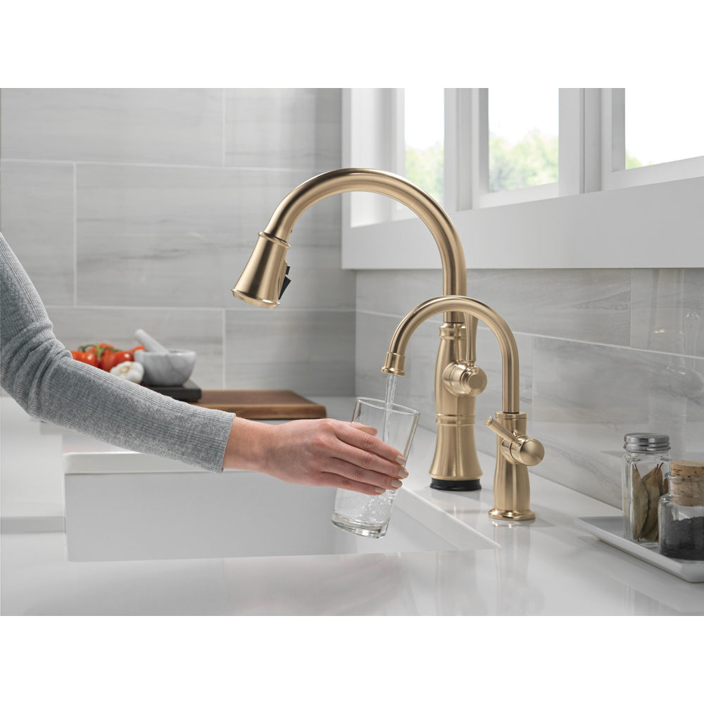 Delta Traditional Beverage Faucet - 1960