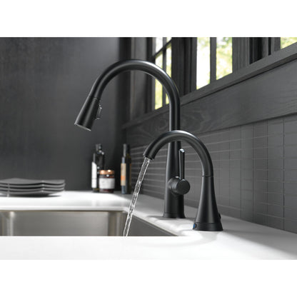 Delta Essa Single Handle Pull-Down Kitchen Faucet with Touch2O Technology - 9113T
