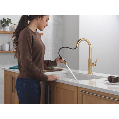 Delta Nicoli J Spout Kitchen Faucet - 19867LF