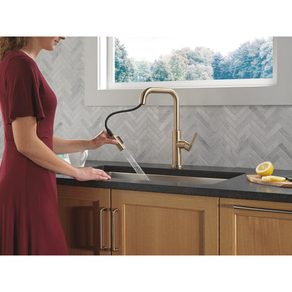Delta Nicoli Double Bend Spout Kitchen Faucet - 19868LF