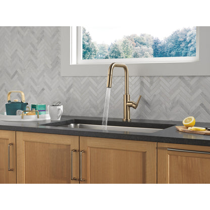 Delta Nicoli Double Bend Spout Kitchen Faucet - 19868LF