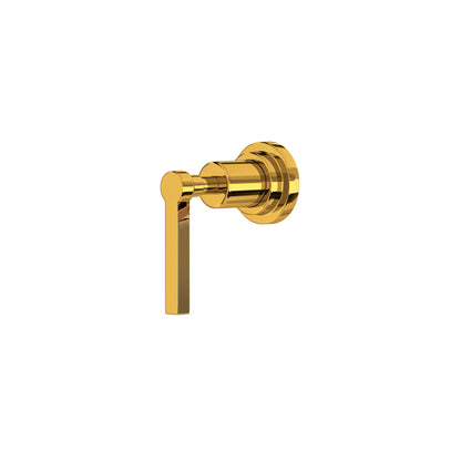 Unlacquered Brass