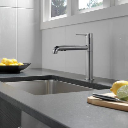 Delta Trinsic Single Handle Pull-Out Kitchen Faucet - 4159