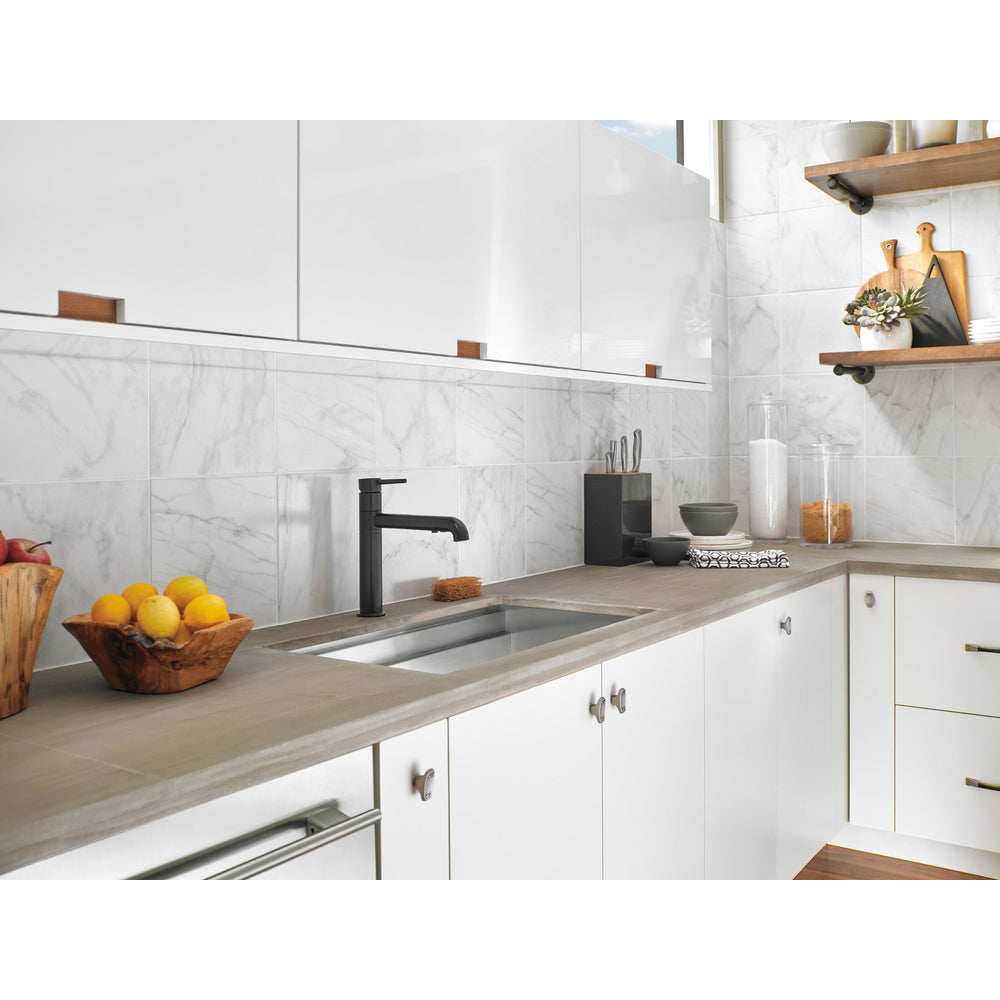 Delta Trinsic Single Handle Pull-Out Kitchen Faucet - 4159
