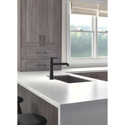 Delta Trinsic Single Handle Pull-Out Kitchen Faucet - 4159