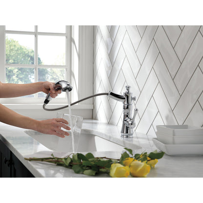 Delta Cassidy Single Handle Pull-Out Kitchen Faucet - 4197