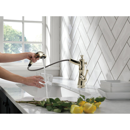 Delta Cassidy Single Handle Pull-Out Kitchen Faucet - 4197