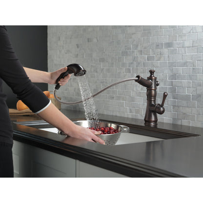 Delta Cassidy Single Handle Pull-Out Kitchen Faucet - 4197
