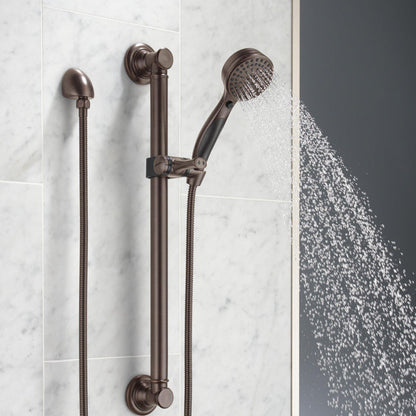 Delta ActivTouch 9-Setting Hand Shower with Traditional Slide Bar / Grab Bar - 51900