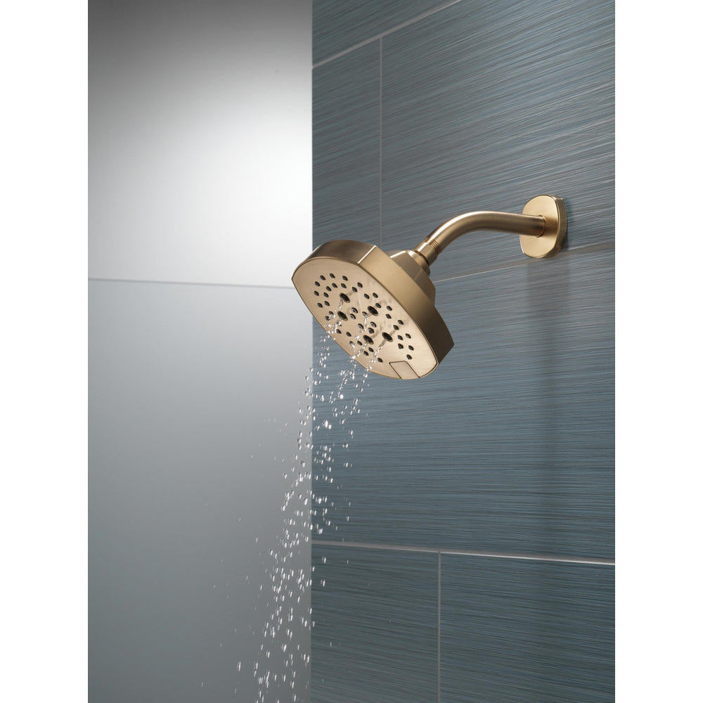 Delta Universal Showering 5-Setting H2Okinetic Shower Head - 52663