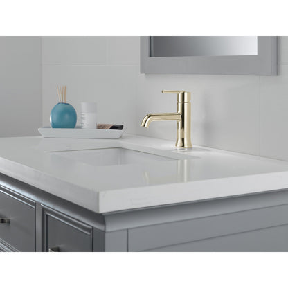 Mitigeur de lavabo monotrou Delta Trinsic - 559LF
