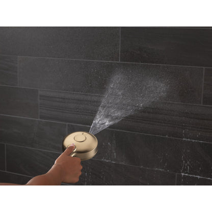 Delta Universal Showering HydroRain à 6 fonctions avec ProClean 1,75 GPM - 56000
