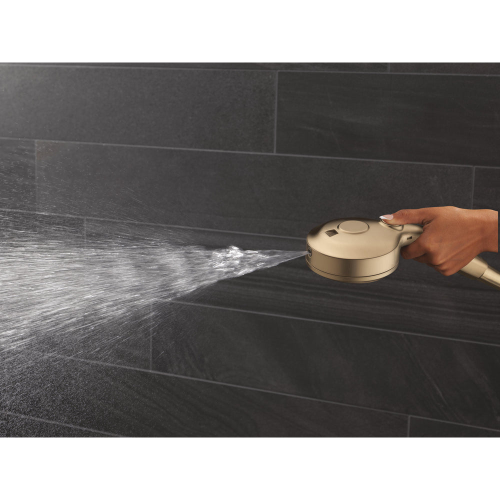 Delta Universal Showering HydroRain à 6 fonctions avec ProClean 1,75 GPM - 56000