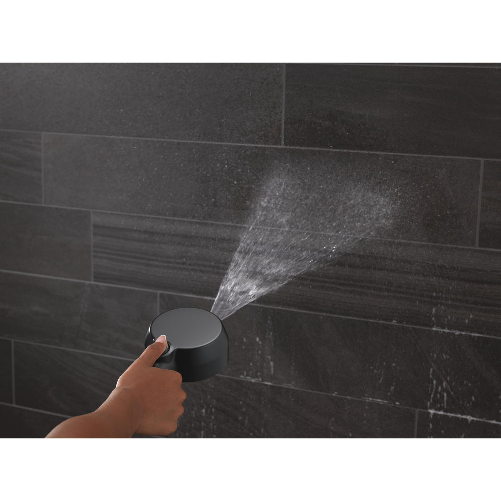 Delta 5-Setting In2ition Two-in-One Shower with ProClean - 58596