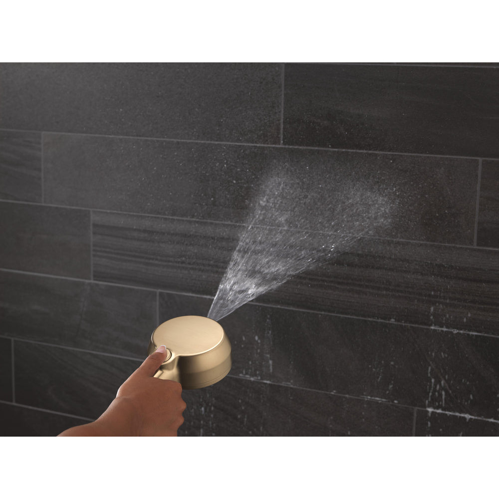 Delta 5-Setting In2ition Two-in-One Shower with ProClean - 58596