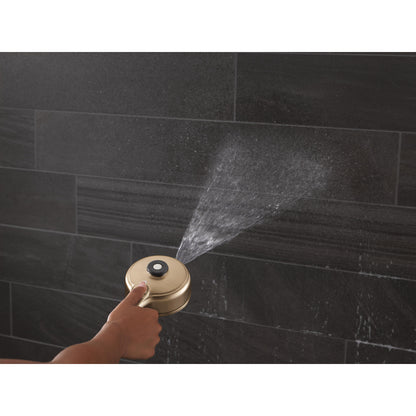 Delta PivotPro 3-in-1 Combination Shower 1.75 GPM - 58600-BL25