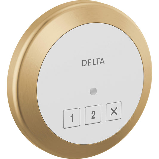 Delta SteamScape Classic System Round Exterior Steam Control - 5CN-220R