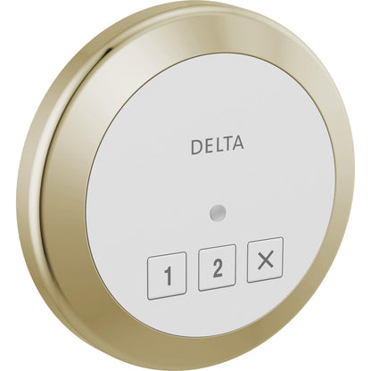 Système classique Delta SteamScape – Commande de vapeur extérieure ronde – 5CN-220R