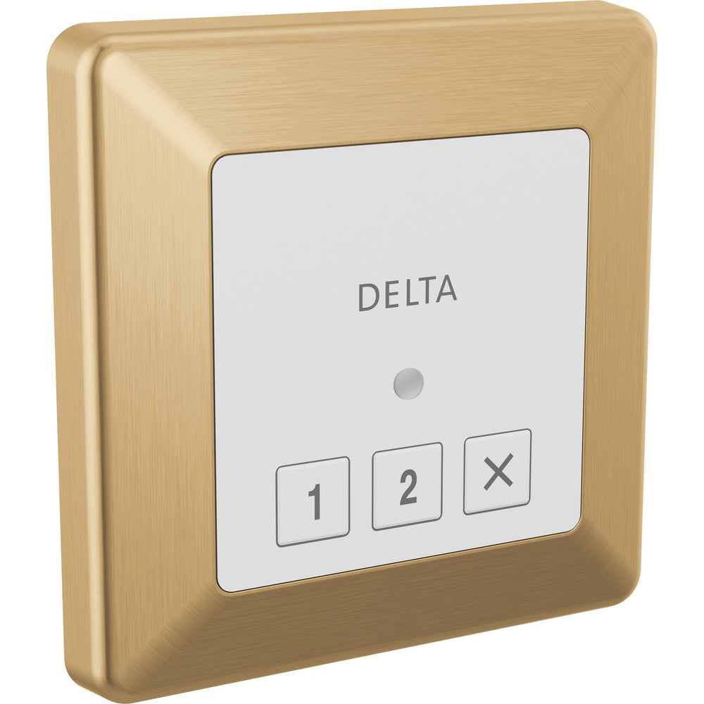 Commande vapeur extérieure carrée Delta SteamScape Classic System - 5CN-220T