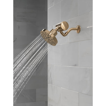 Delta Clarifi Premium Shower Filter Attachment - 5Sf100