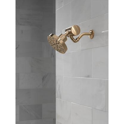 Delta Clarifi Premium Shower Filter Attachment - 5Sf100