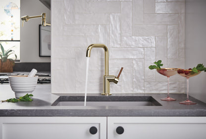 Brizo Odin Bar Faucet with Square Spout Less Handle – 61065LF-LHP